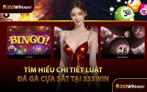 Tìm Hiểu Chi Tiết Luật Đá Gà Cựa Sắt Tại 333WIN