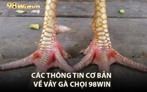Các Thông Tin Cơ Bản Về Vảy Gà Chọi 98WIN