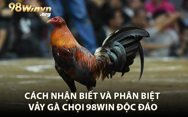 Cách Nhận Biết và Phân Biệt Vảy Gà Chọi 98WIN Độc Đáo