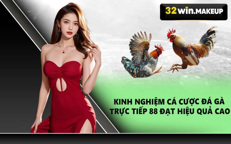 Kinh nghiệm cá cược đá gà trực tiếp 88 đạt hiệu quả cao